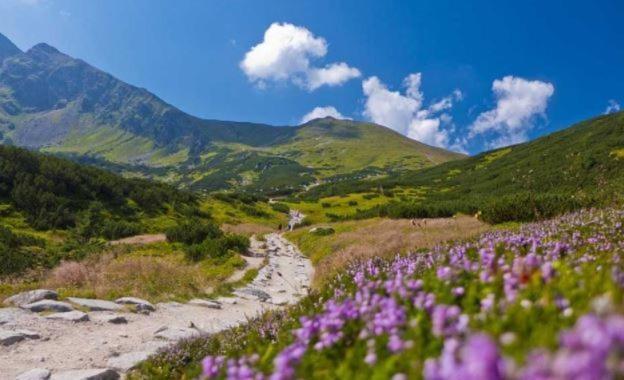 House Hanka, High Tatras Stara Lesna Luaran gambar